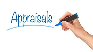 Knife Appraisal Fee 