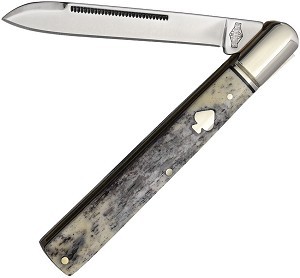 Rough Rider Spade Black Appaloosa Bone Doctor 